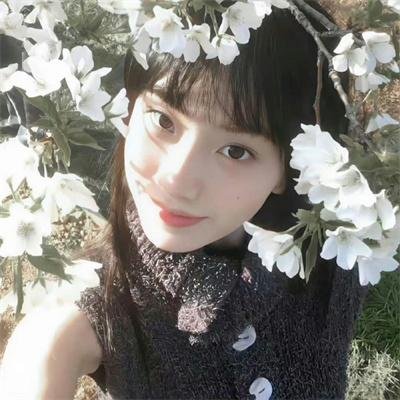 硅谷第四季